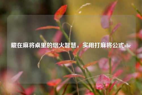 藏在麻将桌里的烟火智慧，实用打麻将公式abc
