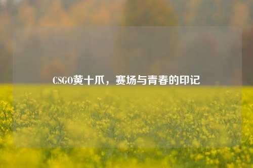 CSGO黄十爪，赛场与青春的印记