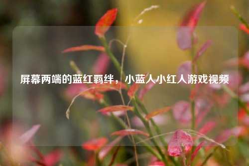 屏幕两端的蓝红羁绊,小蓝人小红人游戏视频
