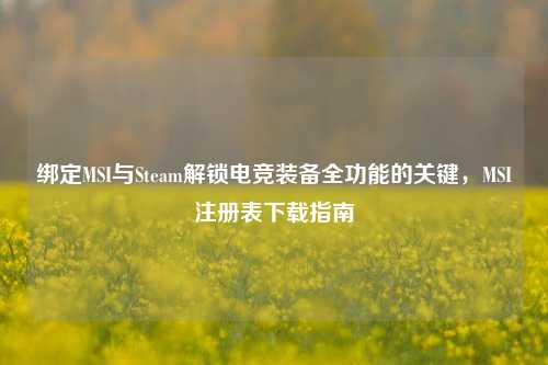 绑定MSI与Steam解锁电竞装备全功能的关键，MSI注册表下载指南