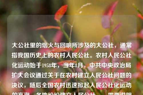 大公社里的烟火与回响所涉及的大公社，通常指我国历史上的农村人民公社。农村人民公社化运动始于1958年，当年8月，中共中央政治局扩大会议通过关于在农村建立人民公社问题的决议，随后全国农村迅速掀起人民公社化运动的高潮，各地纷纷建立人民公社。，需要说明的是，人民公社化运动在实践中存在一些问题，后来经过调整，特别是改革开放后，随着家庭联产承包责任制的推行，人民公社体制逐步被改革。1983年，中央决定撤销人民公社，建立乡、镇政府，人民公社体制正式退出历史舞台。