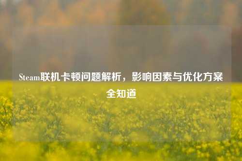 Steam联机卡顿问题解析，影响因素与优化方案全知道