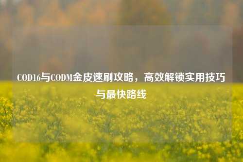 COD16与CODM金皮速刷攻略,高效解锁实用技巧与最快路线