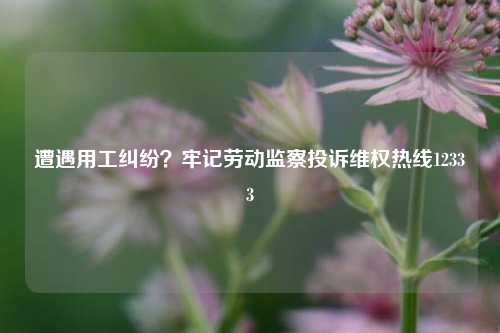 遭遇用工纠纷？牢记劳动监察投诉维权热线12333