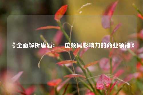 《全面解析唐滔：一位颇具影响力的商业领袖》