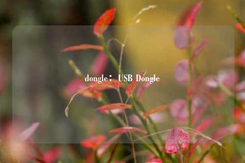 dongle:USB Dongle