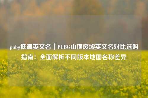 pubg低调英文名｜PUBG山顶废墟英文名对比选购指南：全面解析不同版本地图名称差异